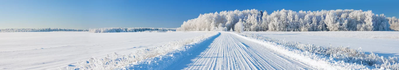 Crédence de cuisine en verre imprimé Hiver panorama de paysage d& 39 hiver avec route et forêt