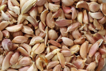 Top view garlic blur group background.