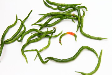 ひもとうがらし01