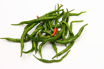 ひもとうがらし03