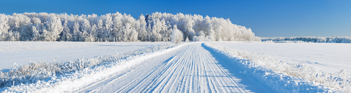 winter landscape panorama with road and forest