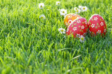 Easter eggs lying on green spring grass along with Bellis flowers. Space for text