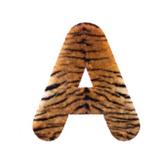 Tiger letter A - Capital 3d Feline fur font - suitable for Safari, Wildlife or big felines related subjects