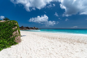 Tropical beach