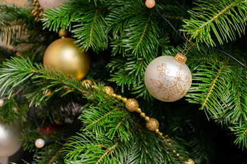 Obraz na płótnie Canvas Christmas tree fir