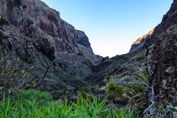 Maska ravine, cliffs, Tenerife. trail in the gorge Maska