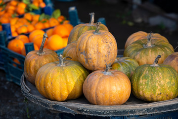 Pumpkins at farm market piled up ready to be sold.