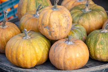 Pumpkins at farm market piled up ready to be sold.