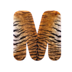 Tiger letter M - Capital 3d Feline fur font - suitable for Safari, Wildlife or big felines related subjects