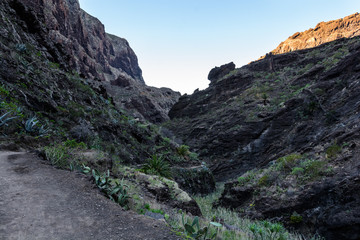 Hiking in Gorge Masca. Volcanic island. Mountains of the island of Tenerife, Canary Island, Spain.