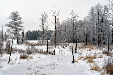Zimowy krajobraz Podlasia, Polska © podlaski49