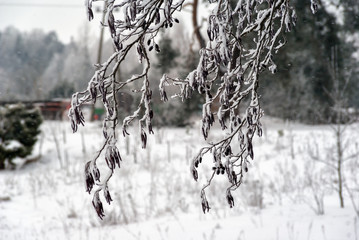 Zimowy krajobraz Podlasia, Polska © podlaski49