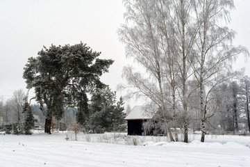 Zimowy krajobraz Podlasia, Polska © podlaski49