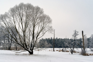 Zimowy krajobraz Podlasia, Polska © podlaski49