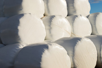 Obraz premium Bale of hay wrapped in plastic foil