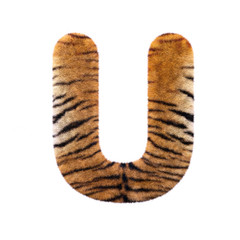 Tiger letter U - Capital 3d Feline fur font - suitable for Safari, Wildlife or big felines related subjects