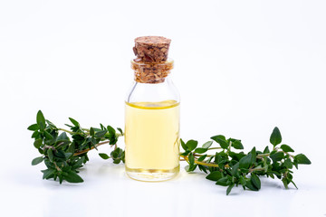 Oil of thyme fresh sprigs of thyme