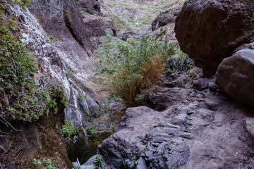 Hiking in Gorge Masca. Volcanic island. Mountains of the island of Tenerife, Canary Island, Spain.