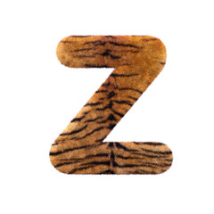 Tiger letter Z - Upper-case 3d Feline fur font - suitable for Safari, Wildlife or big felines related subjects