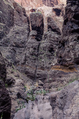 Hiking in Gorge Masca. Volcanic island. Mountains of the island of Tenerife, Canary Island, Spain.