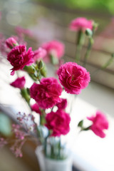 Pink carnation bouquet stands on windowsill in white vase, natural light