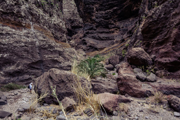 Obraz premium Hiking in Gorge Masca. Volcanic island. Mountains of the island of Tenerife, Canary Island, Spain.