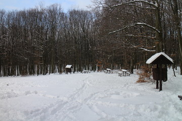 Outside seating by Lesanka hut on Kačín, Bratislava, Slovakia