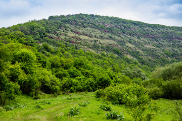 Fototapeta na wymiar Chervona hora mountain