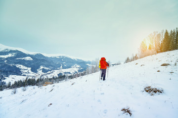 Naklejka na ściany i meble snow covered hiking trail in winter forest