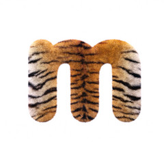 Tiger letter M - Lowercase 3d Feline fur font - Suitable for Safari, Wildlife or big felines related subjects