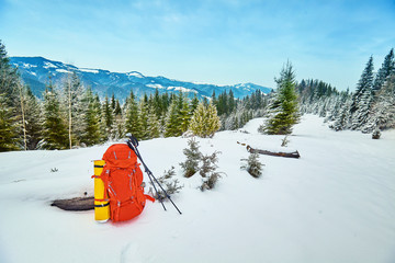 snow covered hiking trail in winter forest