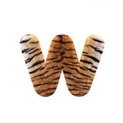 Tiger letter W - Lower-case 3d Feline fur font - Suitable for Safari, Wildlife or big felines related subjects