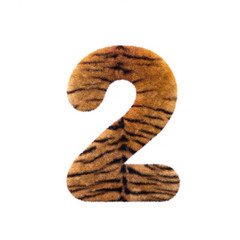 Tiger number 2 -  3d Feline fur digit - Suitable for Safari, Wildlife or big felines related subjects