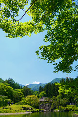 日本の伝統的景観。初夏の日本庭園。鹿沼　栃木　日本。６月初旬。