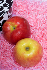 Apples on a white background. View from above.