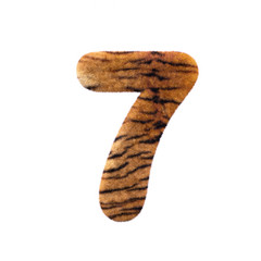 Tiger number 7 -  3d Feline fur digit - Suitable for Safari, Wildlife or big felines related subjects