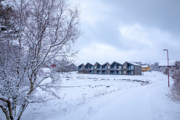 A winter day with snow in Brønnøy municipality, Nordland county