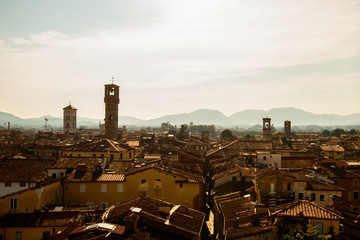 Landmarks of Italy - beautiful medieval town Lucca in Tuscany. City view from Guinigi tower  - obrazy, fototapety, plakaty