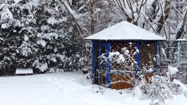 Winter in Bayern, Utting am Ammersee, Winter, Schneefall