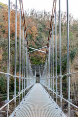 Obraz premium Suspension bridge in natural park.