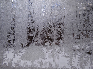 Frosted transparent window with natural winter decoration