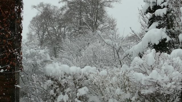 Winter in Bayern, Utting am Ammersee, Winter, Schneefall