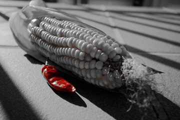 Selective Colour