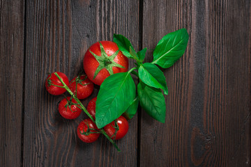 Fresh Tomatoes with Basil on wooden board on rustic style