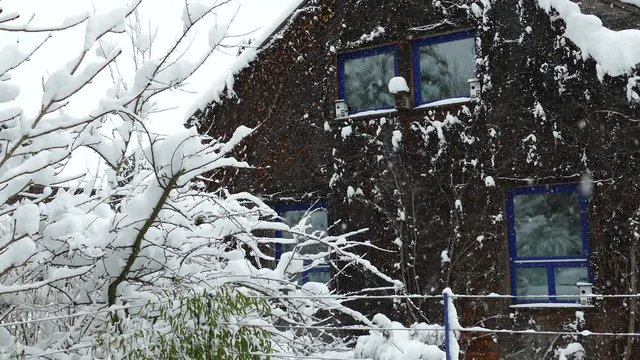 Winter in Bayern, Utting am Ammersee, Winter, Schneefall
