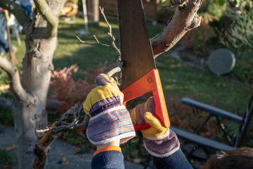 a child saws a branch in the garden with a garden saw