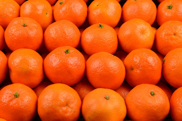 Mandarin orange background.