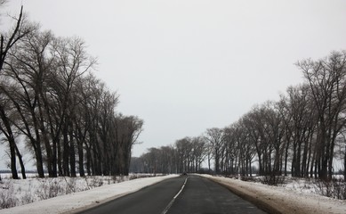 The road through the forest in winter. In Ukraine, the road is cleaned of snow