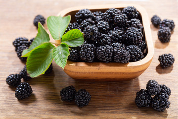 bowl of blackberry on wooden table
