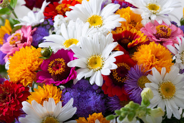 bouquet of summer flowers